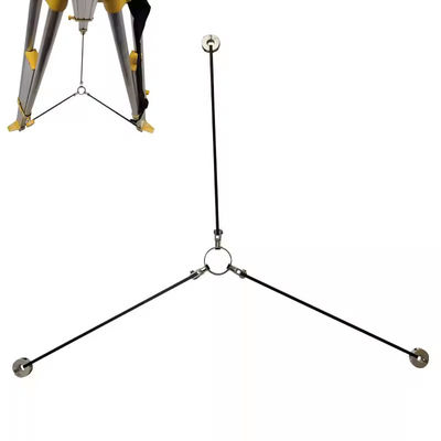 이름